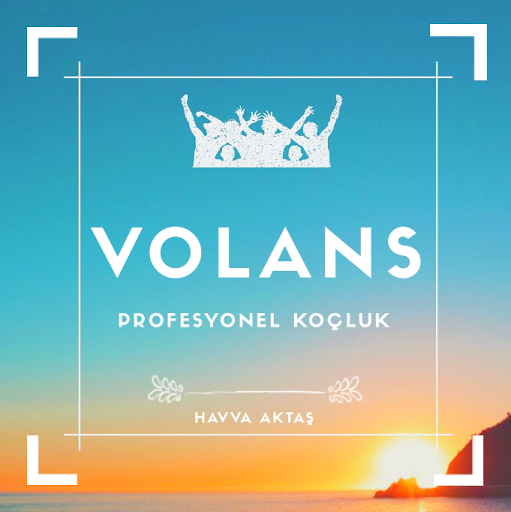 VOLANS PROFESYONEL KOÇLUK logo