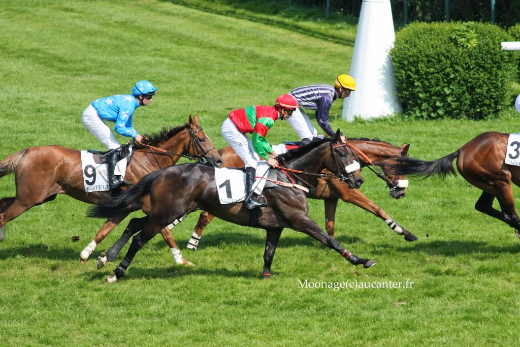 Photos Auteuil 8-06-2014  - Page 2 IMG_1974