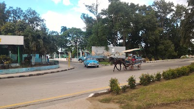 park