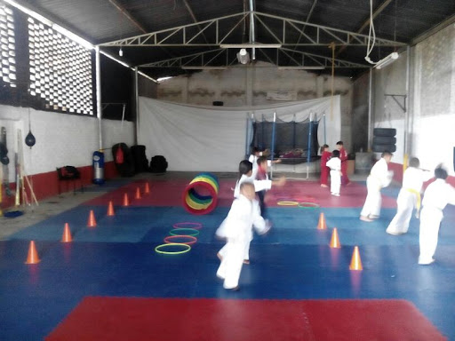 AKKA karate USA JRamos, Aldama 620, Zona Centro, 38240 Juventino Rosas, Gto., México, Escuela de artes marciales | GTO
