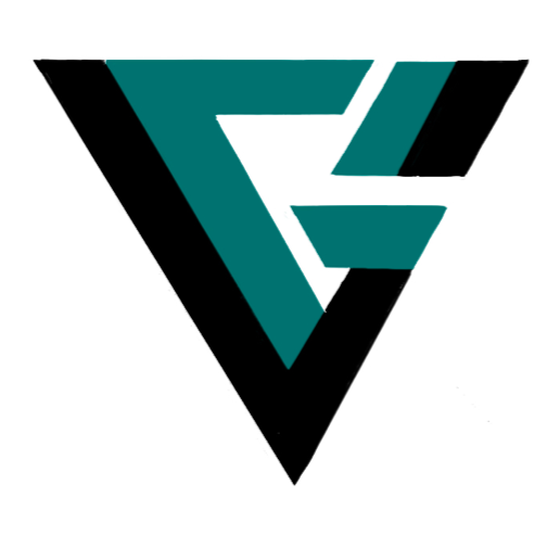 VIM GYM logo