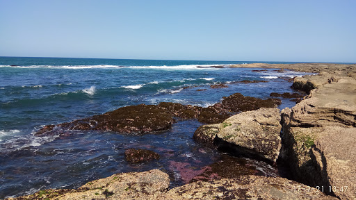 Bundjalung National Park