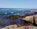 Bundjalung National Park