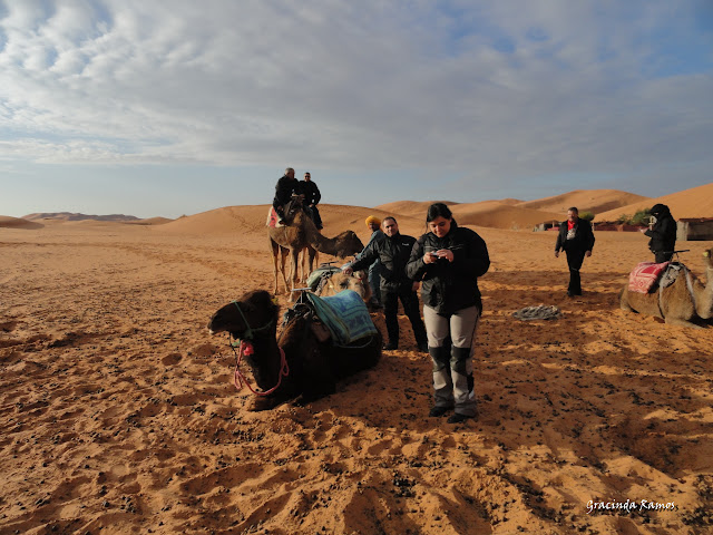 Marrocos 2012 - O regresso! - Página 7 DSC06145