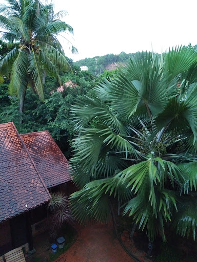Sim Garden