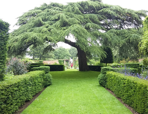 Hidcote