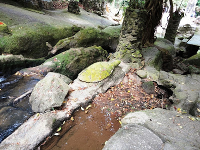 Майский Тай (Бангкок-Самуи-Тао)