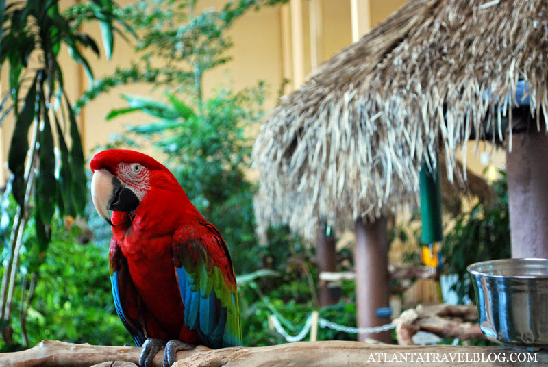 Gulf World Marine Park of Panama City Beach