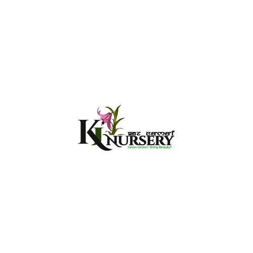 KJ Nursery, Singjamei Makha Sorokhaibam Leikai, Singjamei Thongam Leikai Rd, Imphal, Manipur 795008, India, Plant_Nursery, state MN