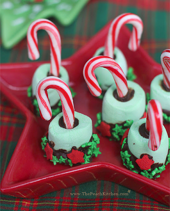 Hot Cocoa Candy Cane Stir Sticks | www.thepeachkitchen.com