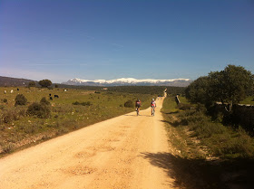 Unas fotos de nuestra ruta de Tres Cantos a Las Matas - Abril 2013