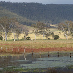 Looking over the lagoon from Congewai Valley East trackhead (60177)