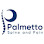 Palmetto Spine and Pain