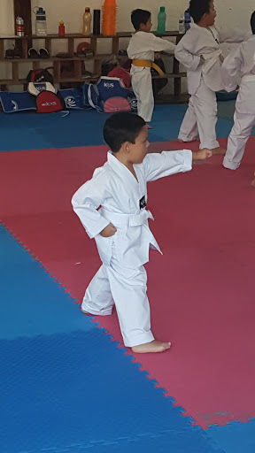 Eagle Park, Javier Rojo Gomez 298, Ocho de Octubre, Chetumal, Q.R., México, Escuela de artes marciales | QROO