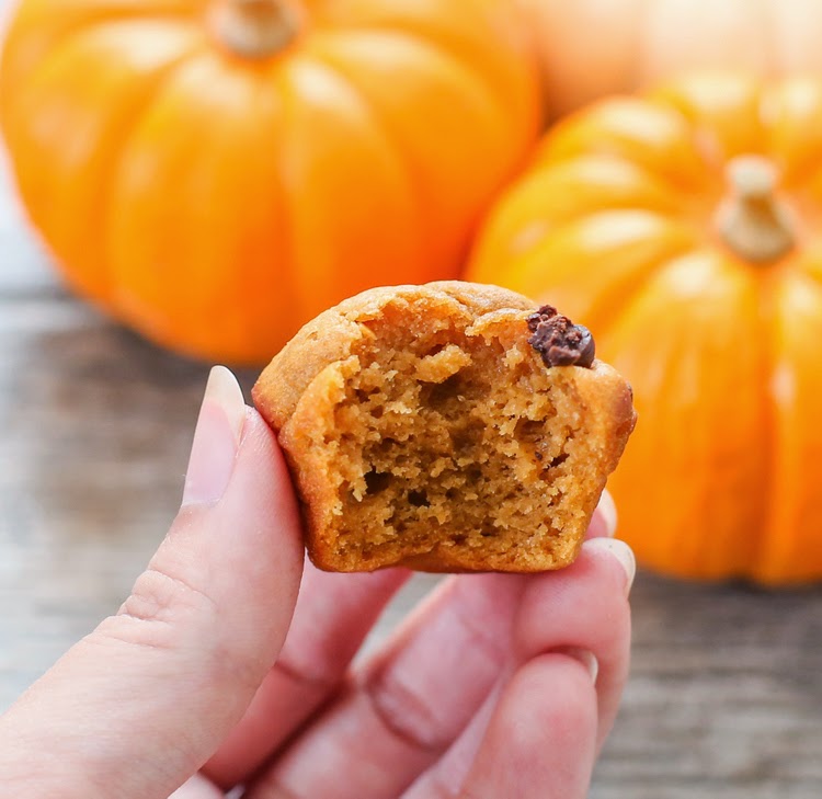 close-up photo of a muffin with a bite taken out of it