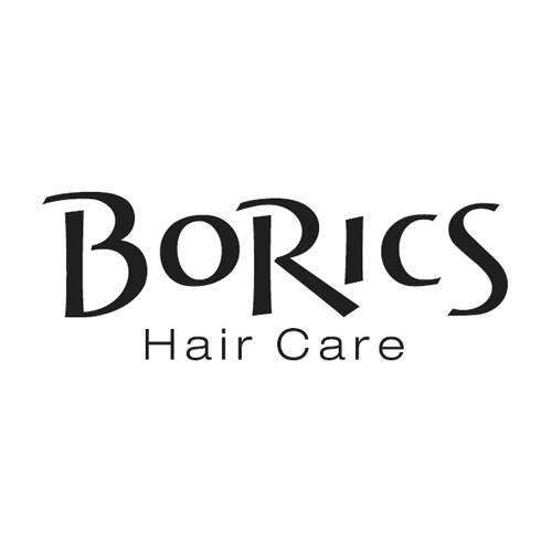 BoRics Hair Care logo