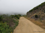 San Pedro Mountain Rd.