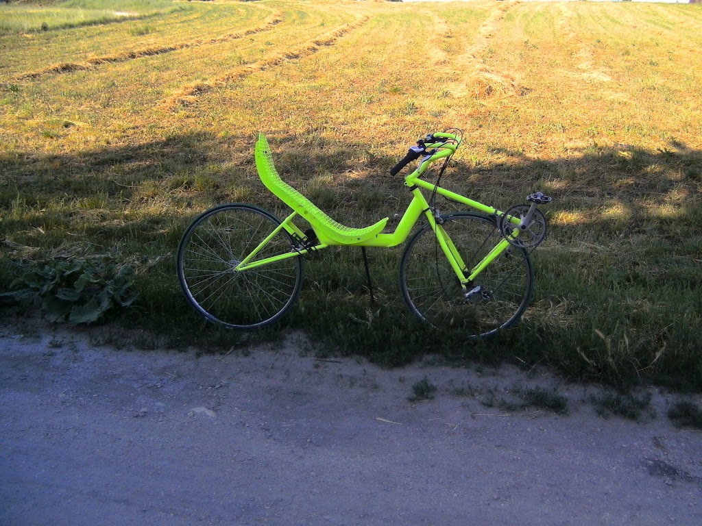 Feltöltött kép