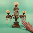 Tropic Of Cancer - Restless Idylls