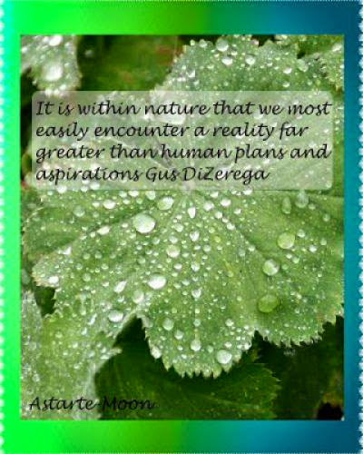 Mother Nature Beauty And Spirituality Gus Dizerega Quote