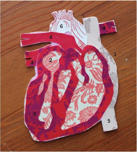 craft project: how to make a papercut valentine le Cœur