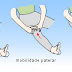 Exercicios para realibitação de tendinite patelar