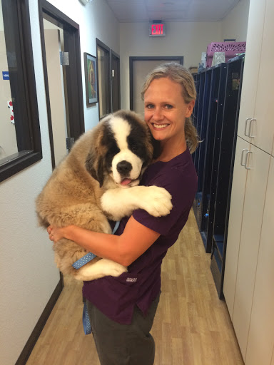 Veterinarian «Sun Lakes Animal Clinic», reviews and photos