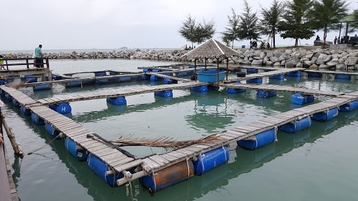 Bangka