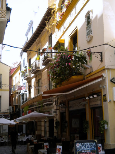 La Taberna Gallega Málaga Restaurant