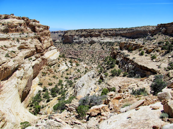 Left fork of Spring Canyon