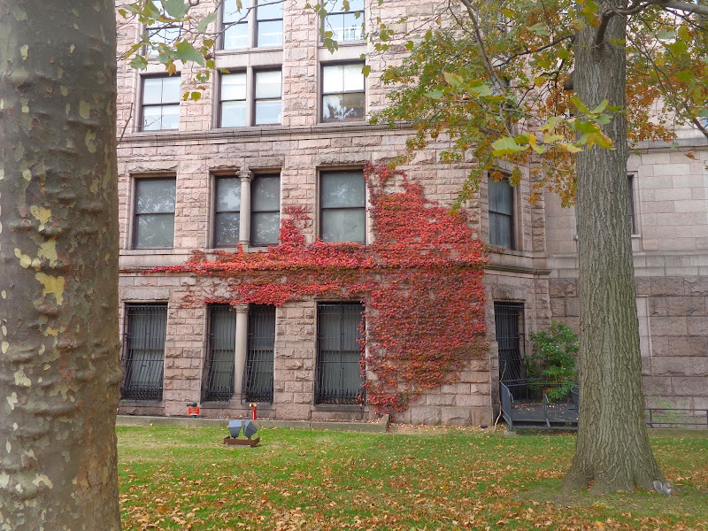 Честное октябрятское, на Евродаме можно жить! Октябрь 2013, круиз по Карибам