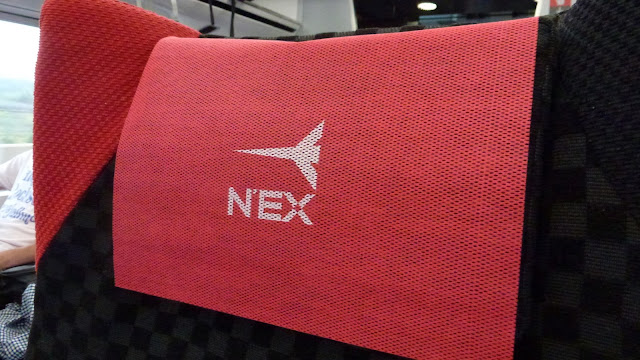 Narita Express headrest cover