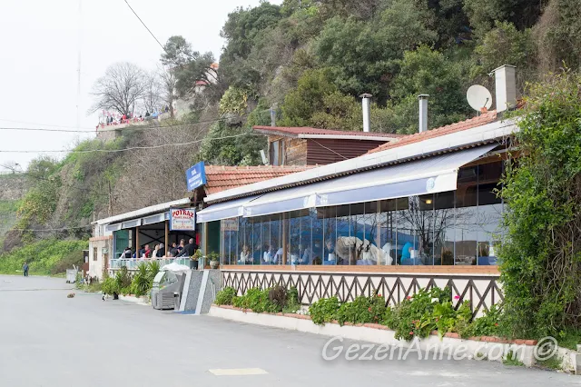 Poyraz Sahil Balık Restoranı, Poyrazköy