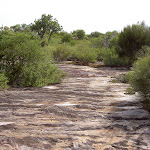 Marley Trackover rock surface (35216)
