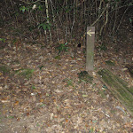 Arrow marker along track (147597)