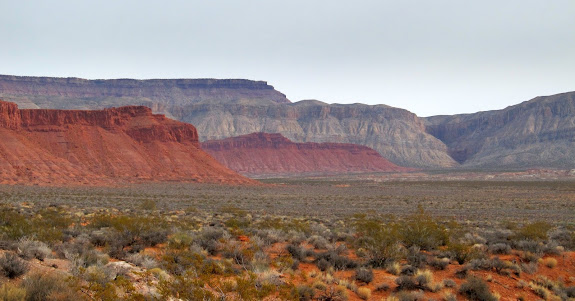 Hurricane Cliffs viewed from the dinosaur tracks