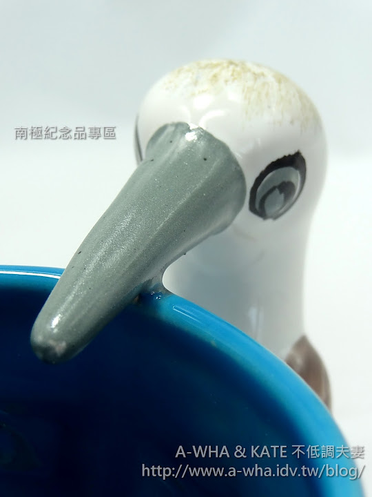 【加拉巴哥群島之旅】購物指南必買紀念品特輯：藍腳鰹鳥Blue-footed Booby咖啡杯~馬克杯遊世界系列