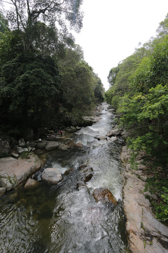 Chamang River Recreational Forest