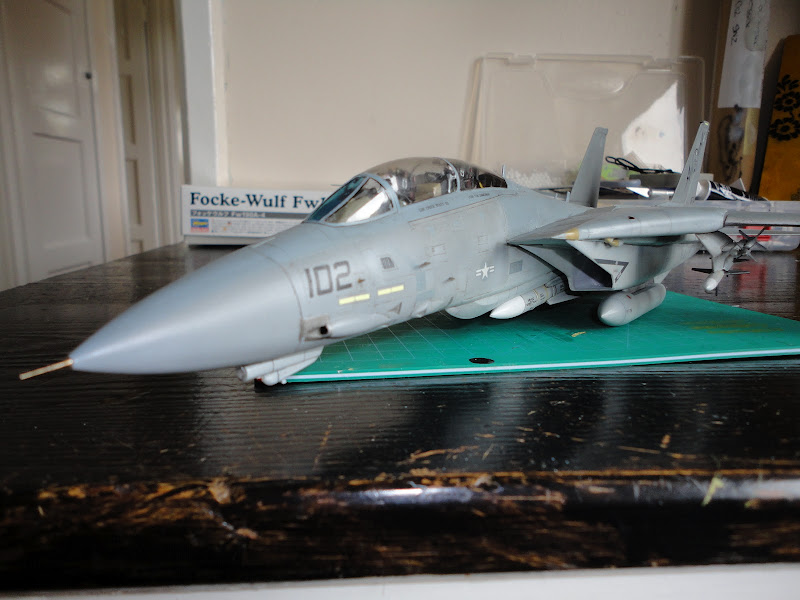 Hasegawa 1:48 F-14A+ Tomcat VF-74 'Bedevilers' (Using PT12, the F-14D CVW-14 kit) FINISHED DSC00831