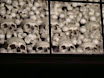 DSC01888.JPG