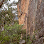 Climber above Walls Ledge Track (13765)