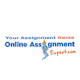 Online Assignment Expert | Vancouver