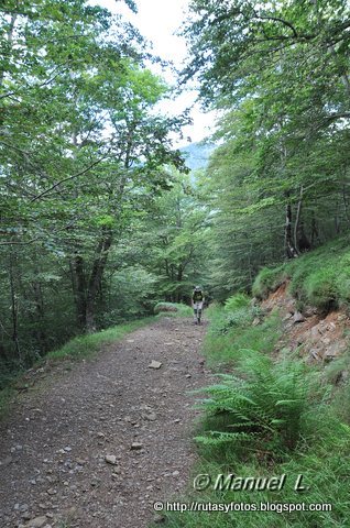 Los Robles y Cascada del Taballon del Mogallu