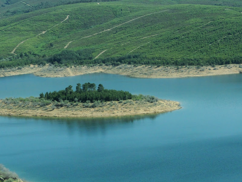 O bando dos 4 ... na Pampilhosa da Serra. DSC04419