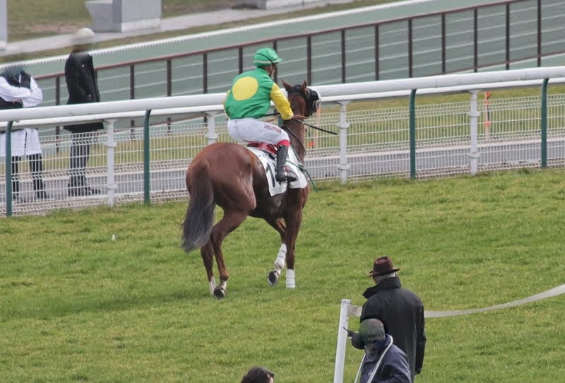 Photos Auteuil 1-03-2015 IMG_7005