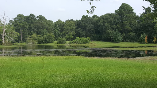 Nature Preserve «Spring Creek Greenway Nature Center», reviews and photos, 1300 Riley Fuzzel Rd, Spring, TX 77386, USA