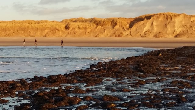 Nationaal Park Duinen van Texel