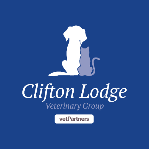 Clifton Lodge Veterinary Group, Billingham logo
