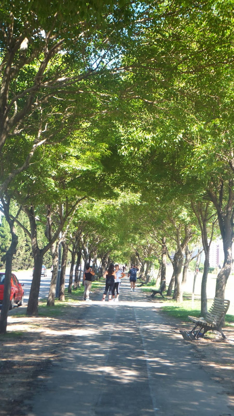 Parque Sunchales, Rosario, Argentina, Elisa N, Blog de Viajes, Lifestyle, Travel