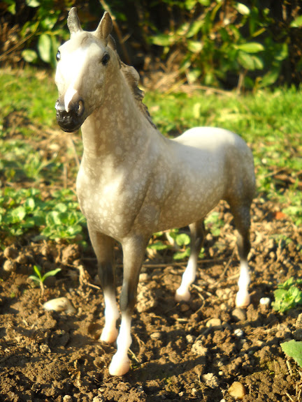 Echange [Schleich] et vente [Breyer] !  DSCN3172